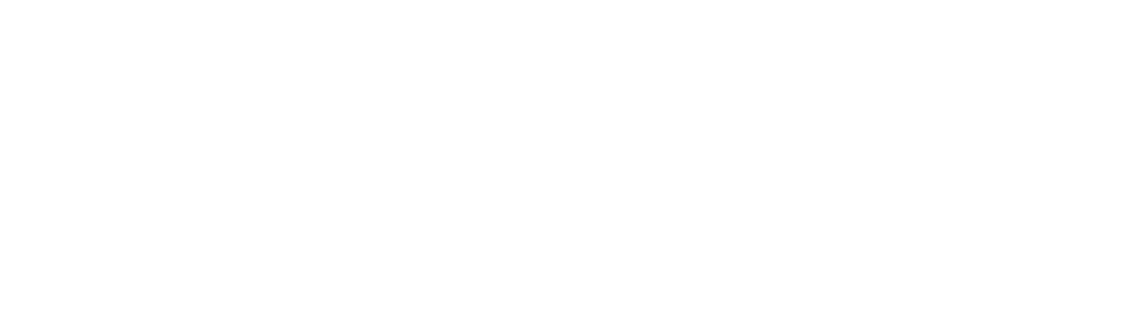 Chocolate City Group Logo-footer